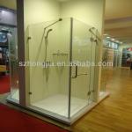 12mm Shower Door with tempered glass HJ-G0824