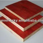 Cheap Plywood/packing plywood /plywood factory hx023