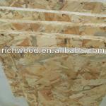 OSB for construction 9.11.12.15mm 1220x2440