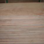 Plywood and Block board 1220X2440MM, 1250X2500MM