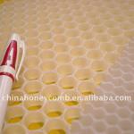 polypropylene honeycomb carbon grain contain of air purifier PP8/PP10/PP12