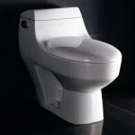 UPC toilet TB108