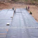 0.25mm,6mx100m/Roll,26,000sqm/40HC,HDPE Membrane JRY-GE