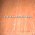 0.30mm bintangor veneer rotary cut V-3