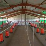 chicken poultry shed design-STL-002