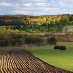 Agriculture farm land