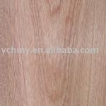 Sapele Veneer plywood