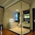 10mm Bathroom Glass Sliding Wall Partition GB-09-28