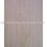 1220*2440mm hot sale &amp; the factory outlet veneer MS-C-042