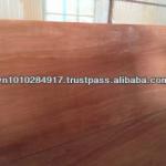 1220x2440mm Bintangor Plywood PH002