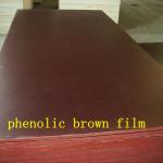 1250x2500x18mm Vietnam hardwood core brown film faced plywood for Turkey CPFFP1