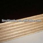 15mm black film faced plywood F1