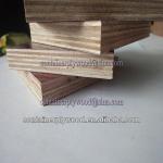 15mm phenolic film faced wood plywood/guangzhou plywood manufacturer FW015