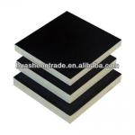 18 MMx1220x2440 Poplar core Melamine Glue One time hot press black Film Faced Plywood HS-FFP077