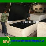 18mm contruction Black film faced Plywood 1312