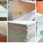 18mm melamine plywood factory in LINYI haileju