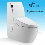 2012 portable toilet one piece mobile toilet with ABS plastic toilet seat JJ-0808Z