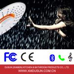 2014 New Radio Showerhead SH91024