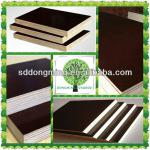 21mm Brown Concrete Plywood/Formwork Plywood with Logo 1220X2440mm