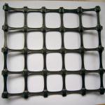 25KN - 45KN/M Plastic Grids Price TGSG30-30