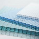 4/5/6/8/10mm 100% sabic material UV coated twinwall polycarbonate trasparent roof panel LGC2RS