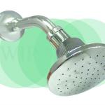 4&quot; Plastic Chrome Shower Rose Set B06-S