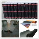 4mm SBS/APP Waterproofing Membrane WB-001