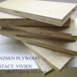 A CE FSC Birch Plywood for furniture use TZ-BP