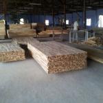 ACACIA Wood - Finger Joined Boards/Hoangphucwood Finger Joined Boards - Hoangphucwood