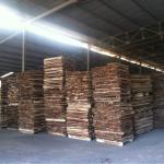 Acacia wood sawn timber for pallet or finger joint sawn timber 01