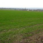 Agricultural land (17500 ha) in the Volgograd region