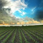 Agricultural Land For Sale.