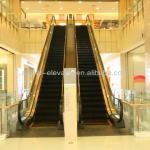 Airport passenger conveyor escalator GRE30