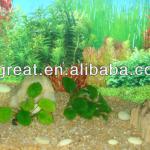 Aquarium Cobble Stone HK