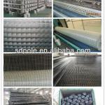 Asphalt reinforcement Fiberglass Geogrid 100KN FGG