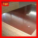 bamboo plywood for concrete building TR-BP6845