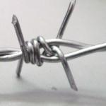 barbed iron wire 12*14