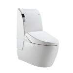 Bathroom Accessory Electric Toilet Bidet JJ-0807z