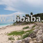 BEACH FRONT LAND IN TULUM Q.ROO MEXICO