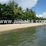 Beach Resort For Sale 3 hectares