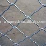 beautiful wire mesh BGW NO.1