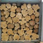 Benin Teak Benin Teak Logs