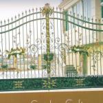 Best Design Wrought Iron Gate with Good Prices ZR-240