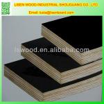 Best Film Faced Plywood Price/shuttering plywood/Marine plywood,Black film faced plywood LSRT-011