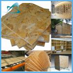 Best Price (Oriented Strand Board)OSB2/OSB3 Board BTOZ13072401