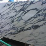 Best Price Reliable Quality Arabescato Marble Tile Arabescato