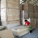 best quality paulownia wood sale from paulownia homtown paulownia