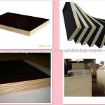 black/ brown color construction film faced plywood 1220*2440 mm ,1250*2500mm