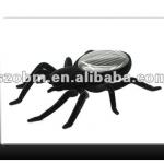 Black Solar Spider Black Solar