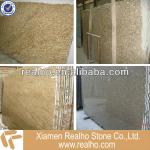 brazilian granite slab RH092607-granite slab